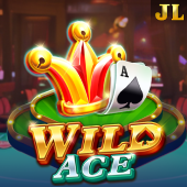 Wild Ace Super King Slot